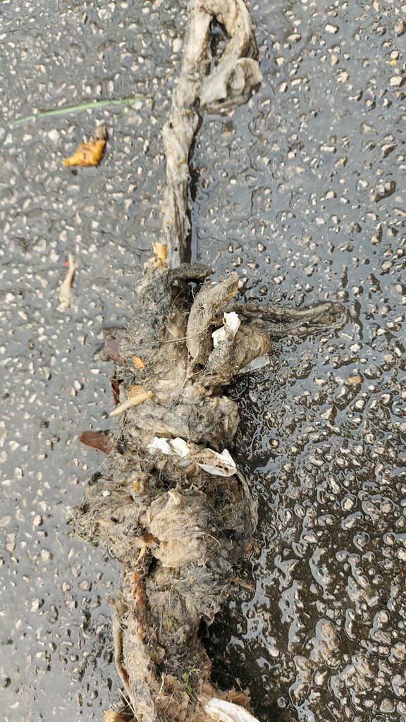 Blocked drain being cleared at a school in Nottingham by professional drain specialists.