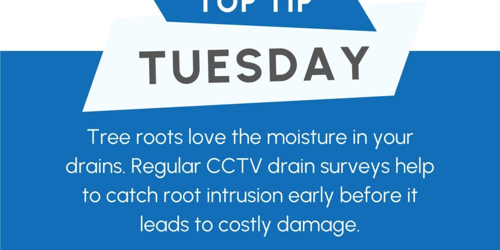 Roots in drains can cause costly damage; CCTV surveys detect issues early.